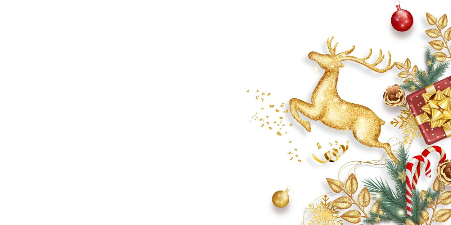 Joyeux Noël et bonnes fêtes de fin d'année 2021