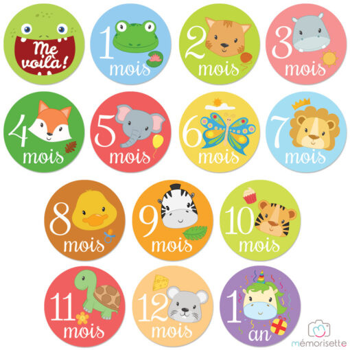 Lot de 14 stickers unisexe "Ma 1ère année" - Animaux – Image 3